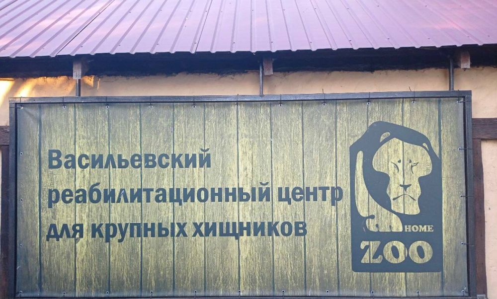 ��� ����� �������� � ������������ ���������������� ������ ��� ������� ��������
