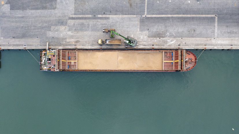 В ВГА Запорожской области заявили о готовности отправить из порта Бердянска баржу с зерном