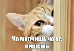 ������� � ��������� � ������ �������� ���������������!