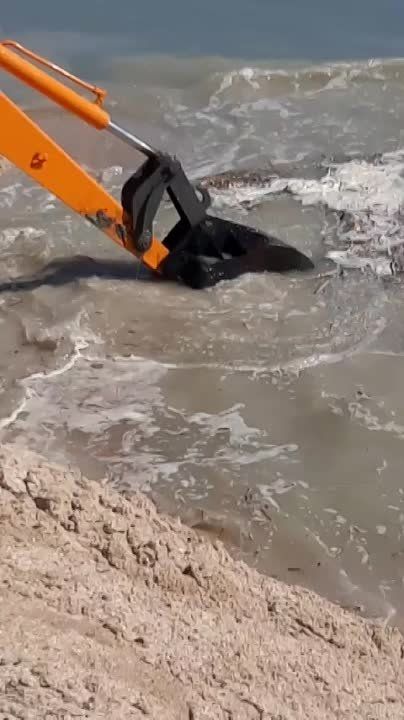 ���������� ���������� ���������� ��� ��������� ������� �� ������� � ����
