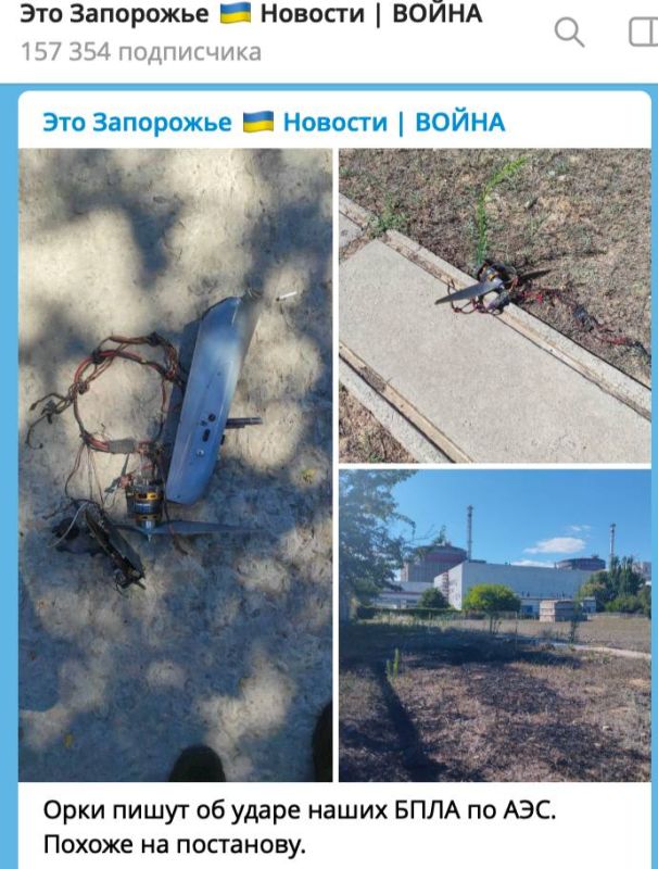 Telegram-������, ���������� �� ����� ����������, ����������� �������� ��������, ������� ����� �������� �� ������� ���������