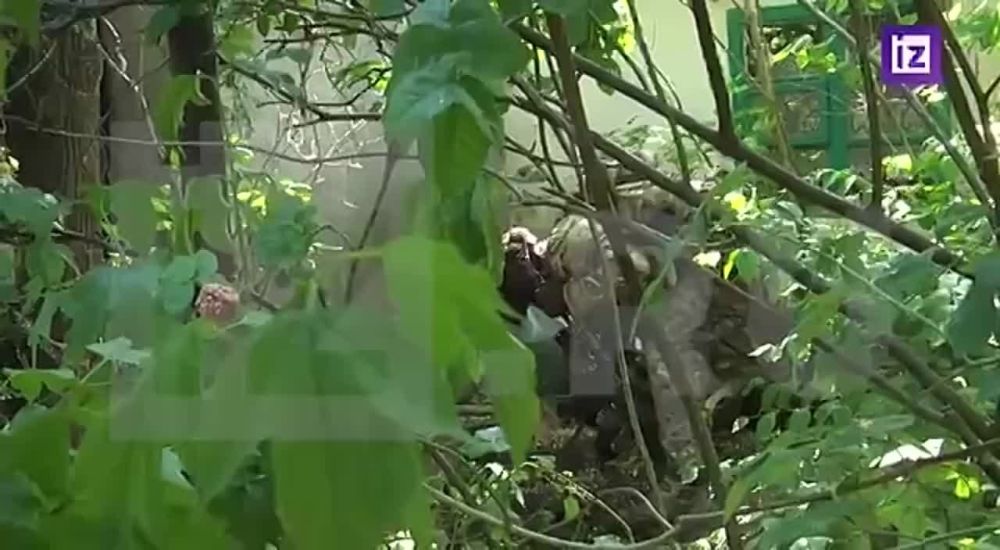 � ��������� ��������� ����������, ������������� �������� ���������� ��� ������ ����� �������������