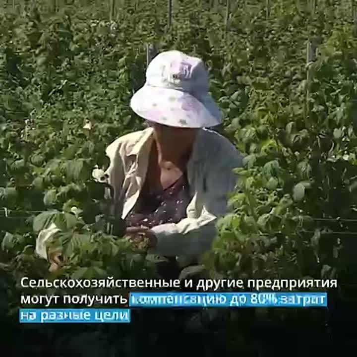 ��� ������ ������������ ����� ������