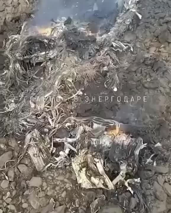 ����� � ����� ������� ������ �� ��������� ����� � ���������� ������� � ��������������, ��� ������-������ �-39