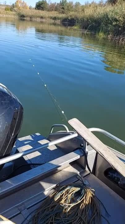 ���������� ������ ������ ��������� ����������� ������-����������� ������������� �. ��������� ��������� �������� ������ �� ��������� ���������� ������ ���� � �����������