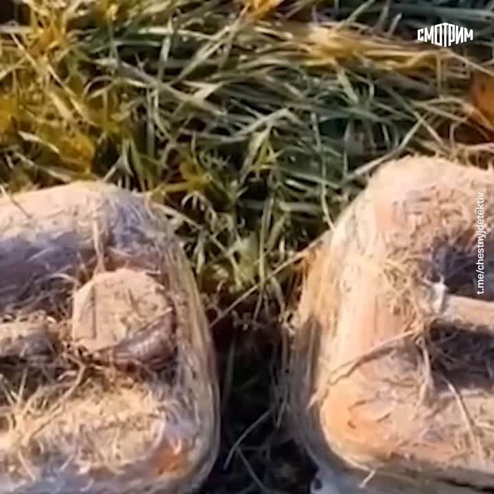 ���������� ������������������ ������� ��������� ���� ���������� �����������, ������� ���������� ����������� ������� �� ���������� ������ "�� �������" � ���������