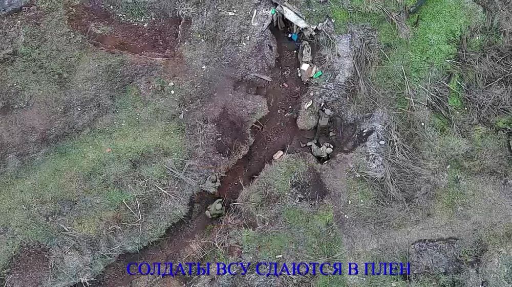 ���� ������ �����������