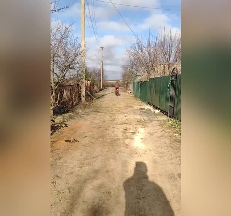 ��������� ������ ����������� �������, ������� ��������� ������� �� ������������� ����� ����� ������� �������� ����� ��������