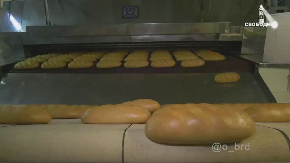 �������� �������� ���, ������� ���������-�������� � ���������-��������, �������� ���������� �������������