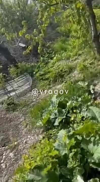 Владимир Рогов: О частичном вывозе жителей прифронтовых населённых пунктов Запорожской области