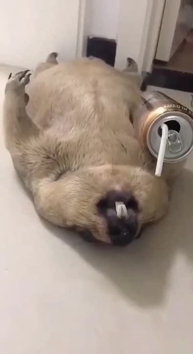 ������� �� ������ ��������, ������� ������, ����� �����������, ������ ����� � �������
