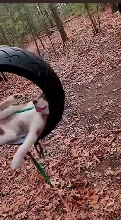 � � ��� ����� ��������?