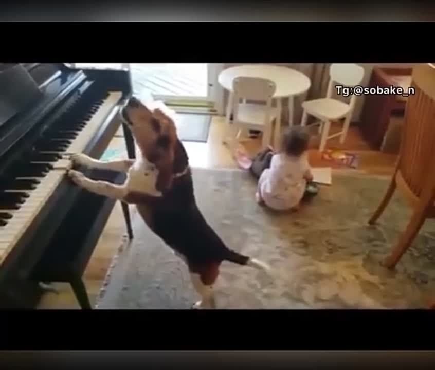 ��������. ��������� �� ������