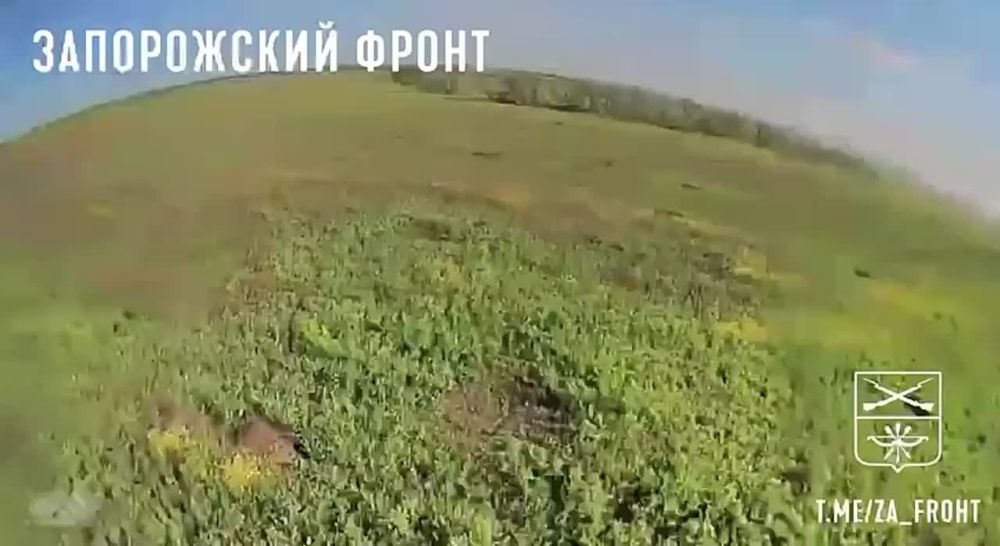 �������� 503 ����� ��������� �����-��������� ��� ����������� ������� ������� ��� �� ����������� �����������