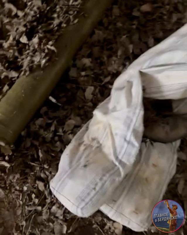 ����������� � ����������� ������� ���������� ����� � ������������