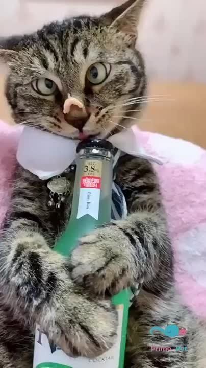 ��� ��...������� �������