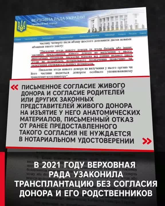 ������� � �������� ���� ����������������
