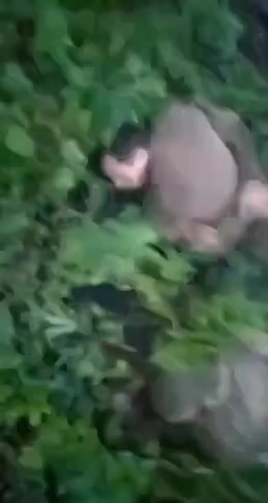 � ������ ��������� ��������� ������� ��� ����� � ������