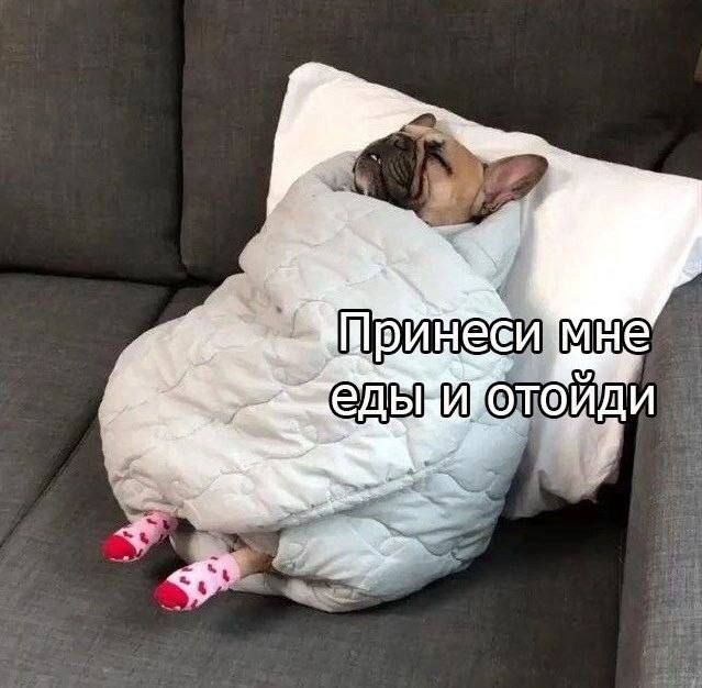 ���� ��� ����� ���� � �������
