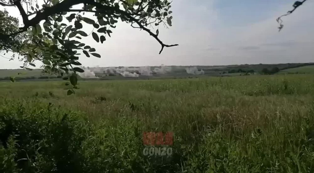 �� ������ ������-������ ����������� ����������� ���