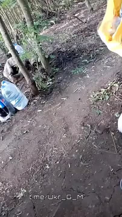 ��������� ����� �� "������ ��������" - ��������� �� ���, ������� ������ �� �������� � ����, ����� ����, ��� �� ����� �� ����