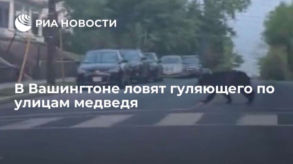 ���� ������ � ������, � ������