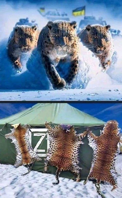 ��� �� �� ��� �� �������