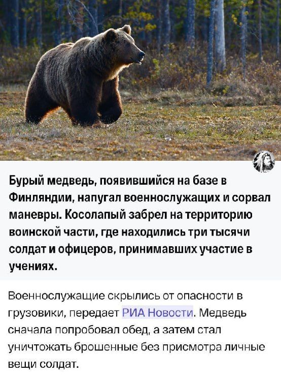 ����� ��� ������ ������ ���������� ����� ���� �������� ���