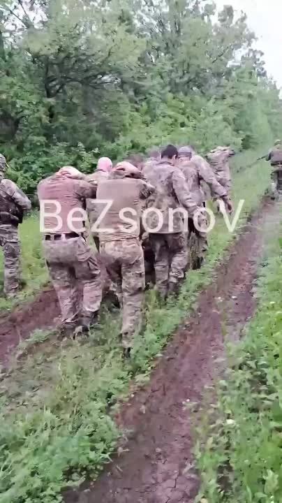 ����� ������� ������ ������� � ����, ��� ��� �� �������� ������� ��������-��������