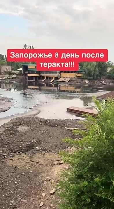 ����� ���������, �������� �������������� �������� �������