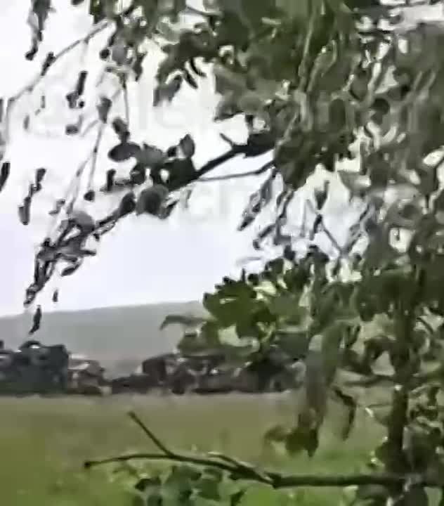 ������������ � �������� ������� ��� �� ���������� �����������