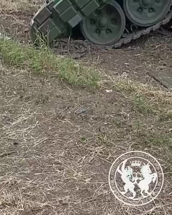 ������� ����������� - ��������� ����� ������ � ���