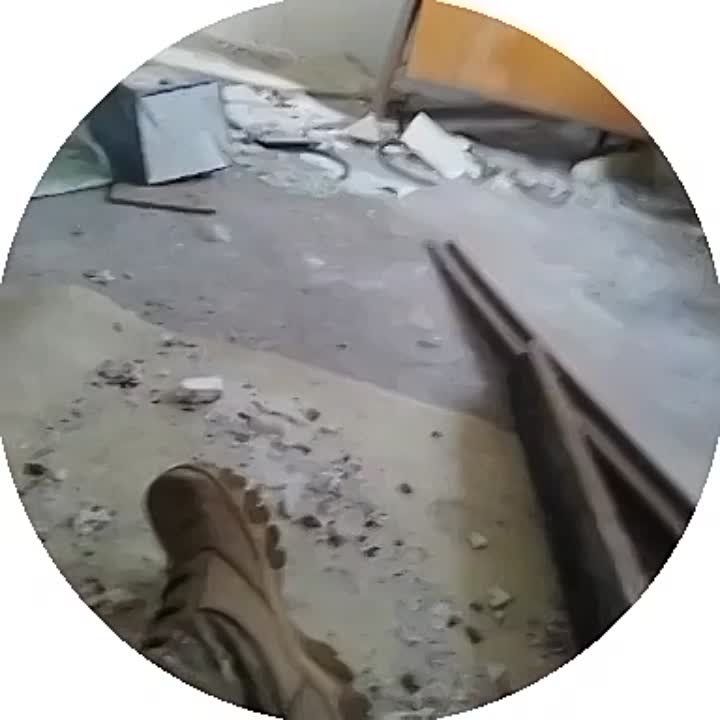 � ������������ �������� �������� �������� �� ������, ����������� ��� ��������������� � ��������� �����������