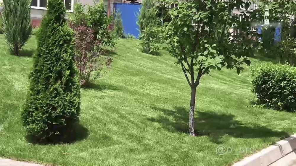 23 ���� � ��������� ��������� ������ ����������� ���� ������� ���������������, ���������� ���������� ������� ��������� �� ���� ������������ �������� �������� "��������"