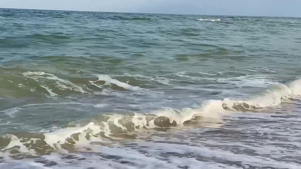 ��������, ����������� �������