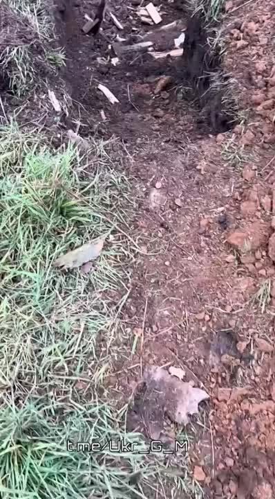 ���������� ���������� ��������� ������� ���������� ���� �� �� ���������� ������