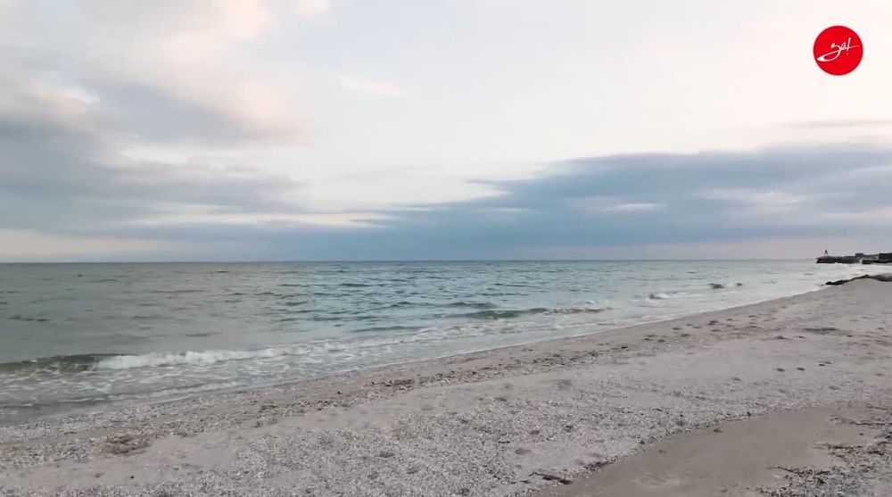 ����������� ������� ������� 31 ���� ������ �� �������� �������� �������