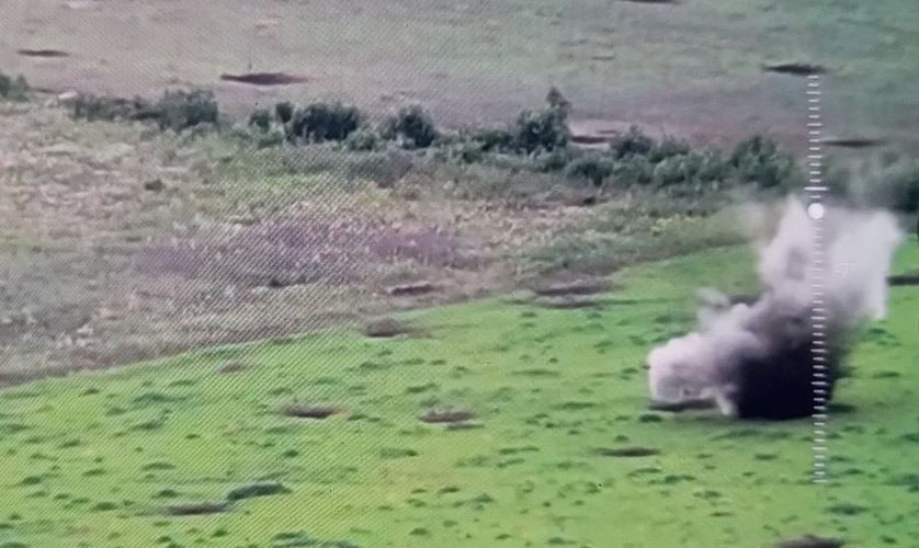 ���� ��������� �� ��������, ����������� � ������-��������� ������������, ����� ������ �������� ����� � ����������