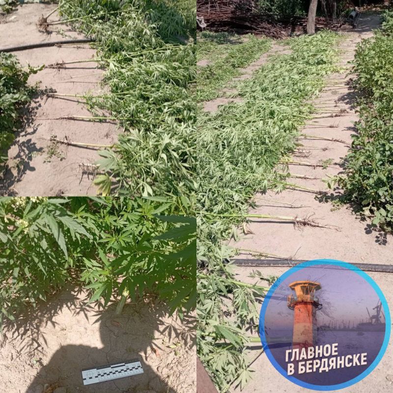 ����������� �������� ����������� ������� � �������