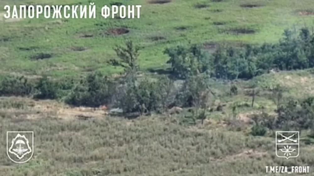 ��������� ����� ������ �������� FPV-������ ���������� �������� ������� �� ����������� ������ ���������� �� ����������� �����������