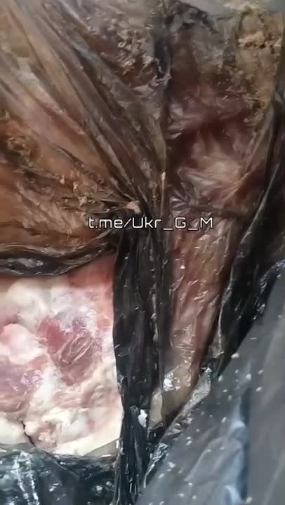 ��� �����������. ��� ��� ������ ����������� �� 30-� ������� �� ��������� �������������