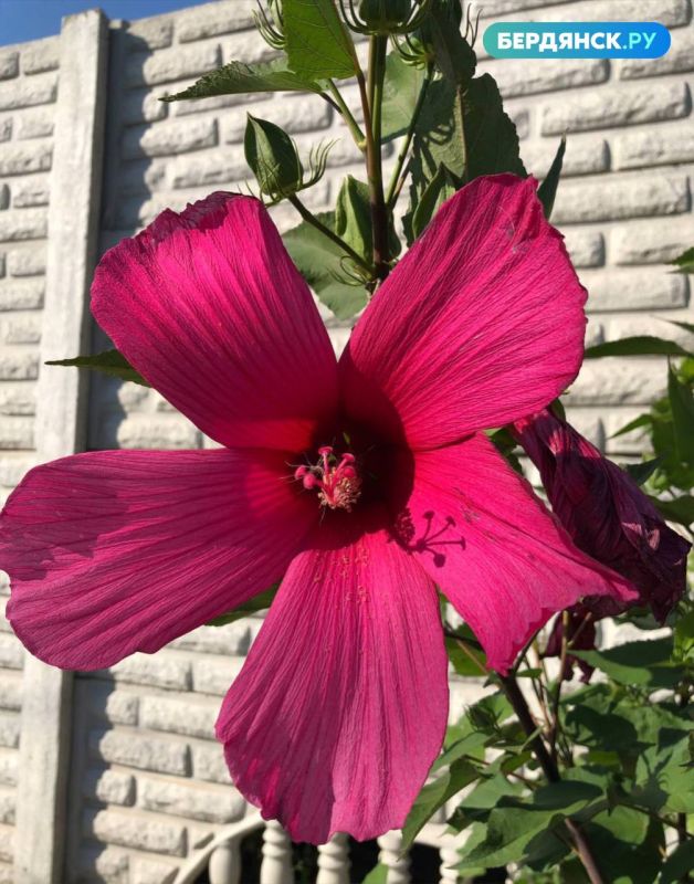 ������ ����, ��������!. �������-�� ������� ���������! ���������, ����������� ��� � ��������� ����� � ������������! ������������� ���� ���������� ���� ����������