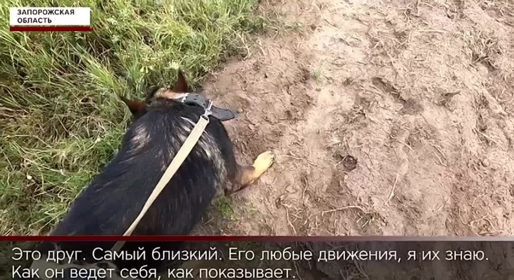 � ����������� ������� ���������� ������ ����������� ������������� ����������