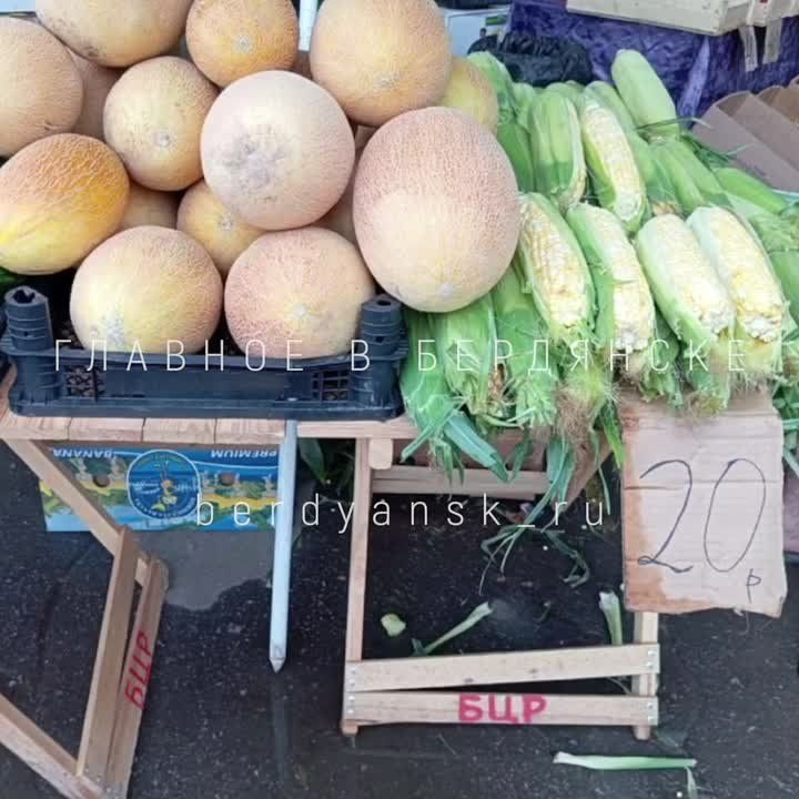 ������ �� 35 ������ �� ��������� � ��� �� 25 ������ �� ����� � �� ����� ��������� ������ ����� ������ �������� �� ��������� ����