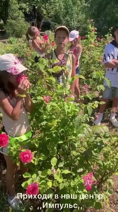 ������������ ������ �������� � ����������� ������� �������������� � �������� �� ����� ���� �������