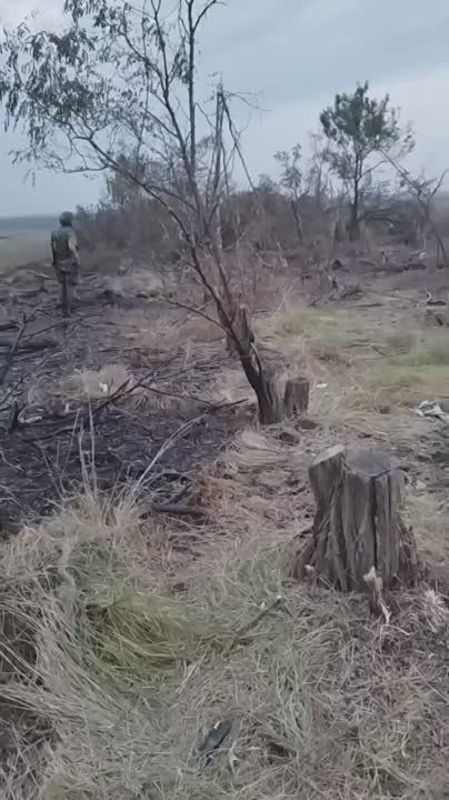 ����� �� ��� ��������, ��� �� �� �������� ����������� ����������