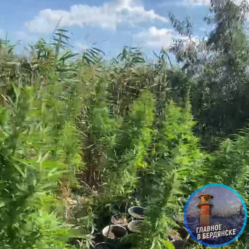 � ���������� ����������� ������ ��������� ���� ������ �������