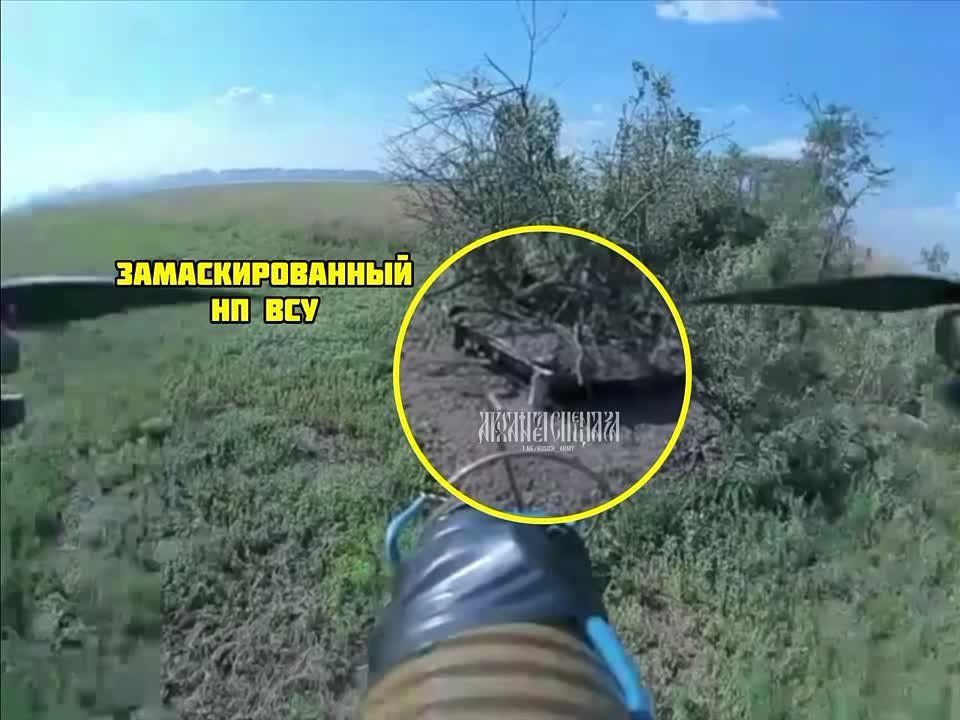 ����� ����������� ������� ���������� � ������� FPV-����� � ������ �������� �� ����������� �����������