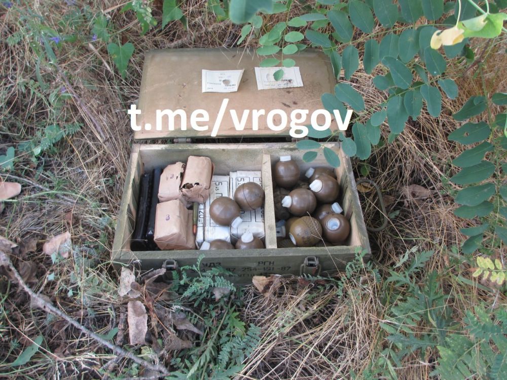 Владимир Рогов: На Запорожье нашли новый схрон с оружием