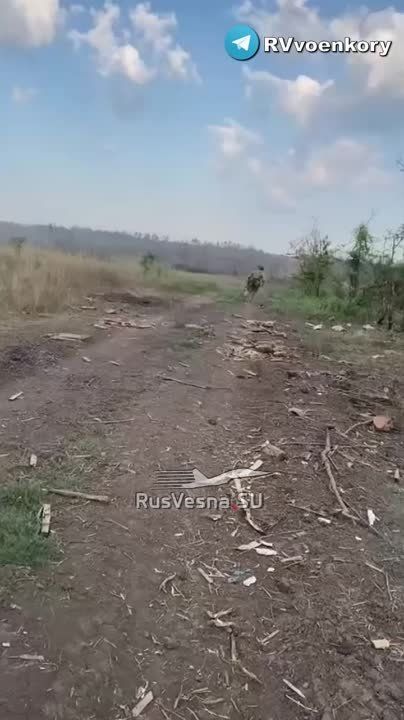 ���������� ������� ������� ������ ��������� �� ����� �������� � ������ �������� �� ����������� �����������